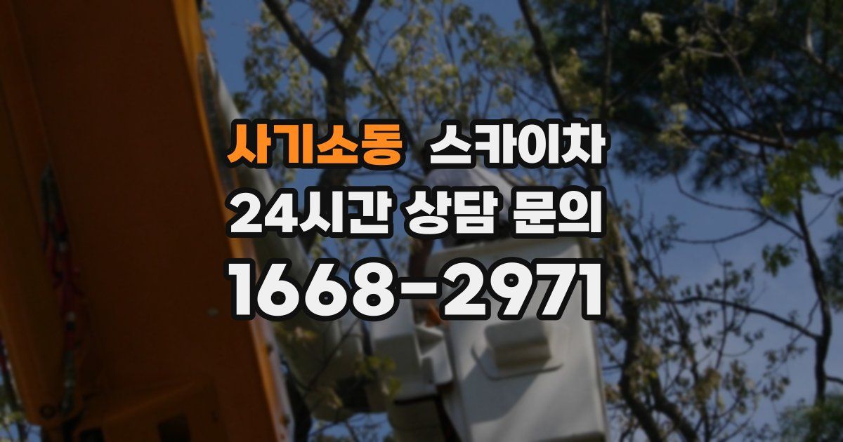 사기소동 스카이차