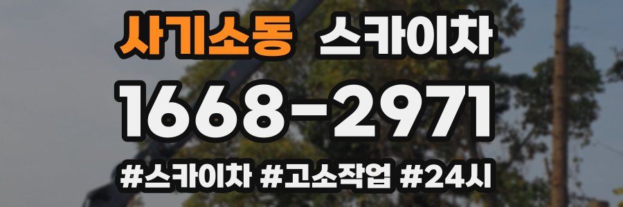 사기소동 스카이차