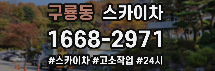 구룡동 스카이차