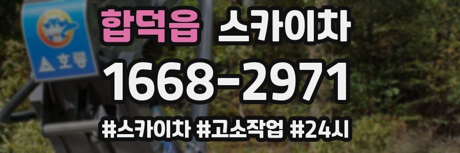 합덕읍 스카이차