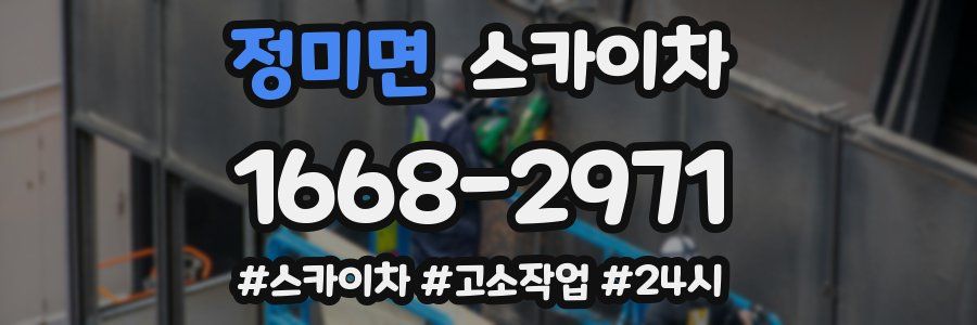 정미면 스카이차