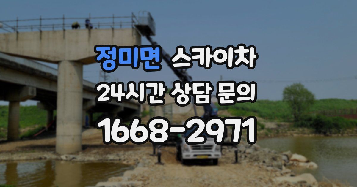 정미면 스카이차