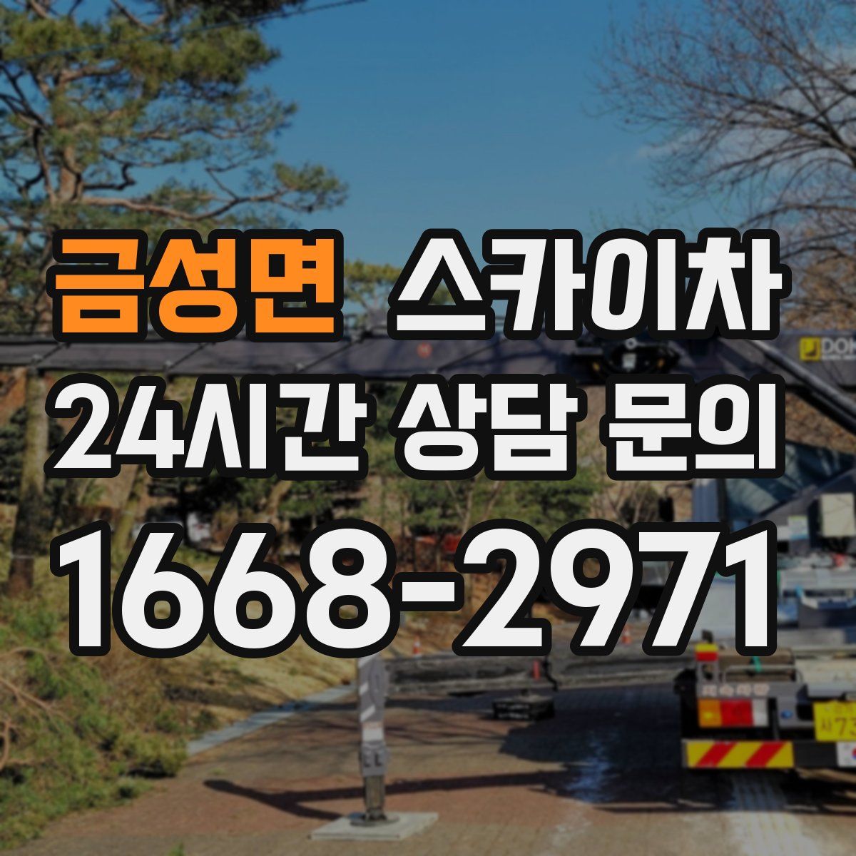 금성면 스카이차