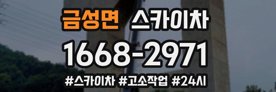 금성면 스카이차