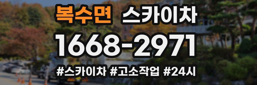 복수면 스카이차