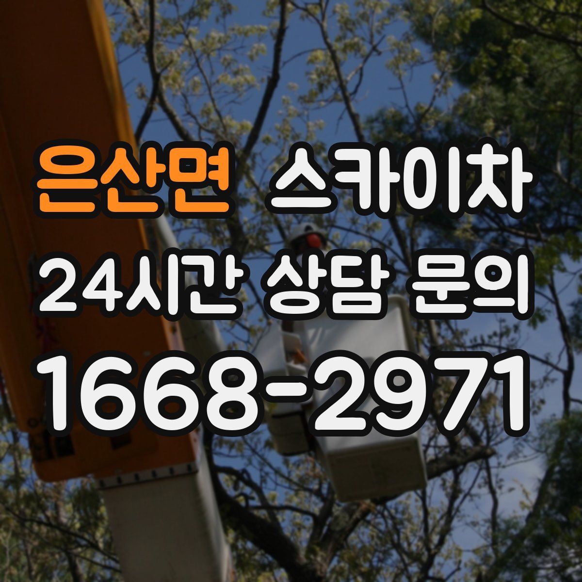 은산면 스카이차