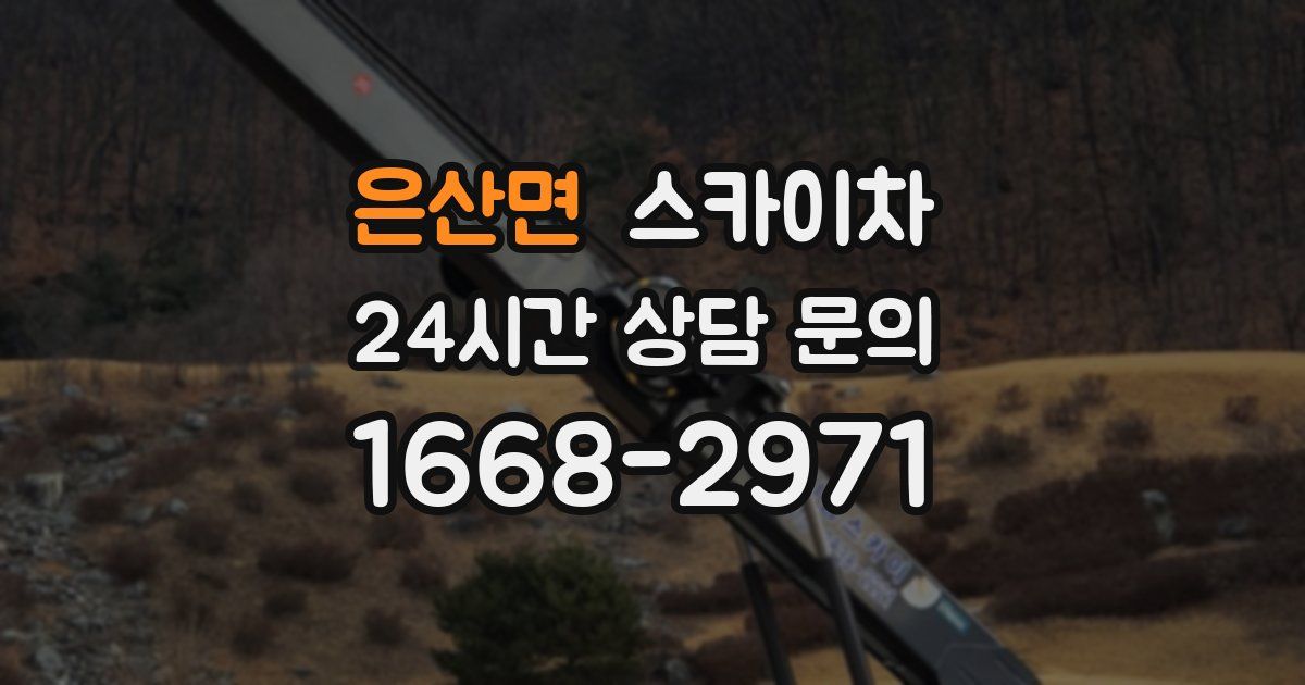 은산면 스카이차