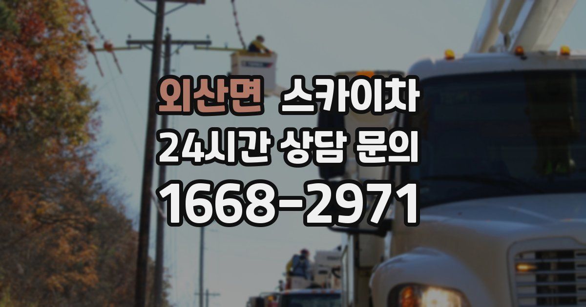 외산면 스카이차