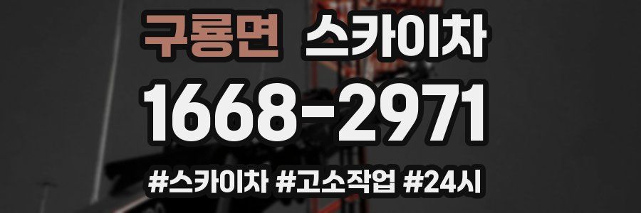 구룡면 스카이차