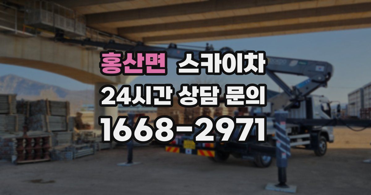 홍산면 스카이차