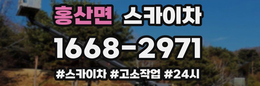 홍산면 스카이차