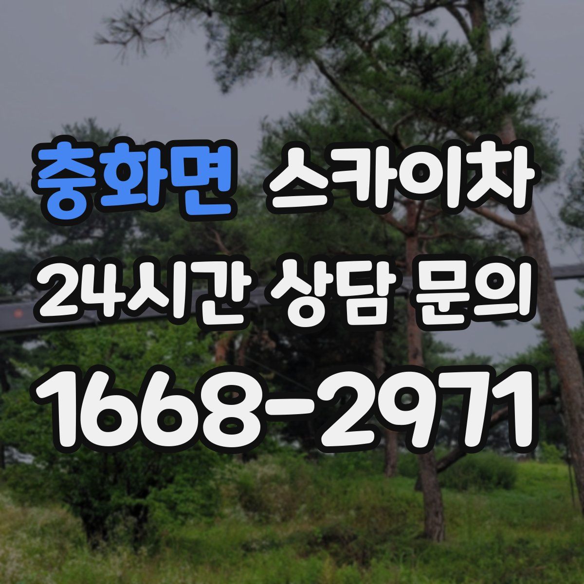 충화면 스카이차