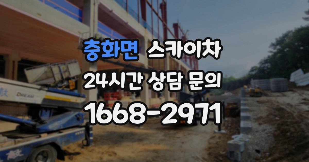 충화면 스카이차