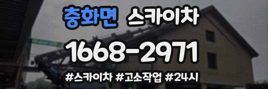 충화면 스카이차