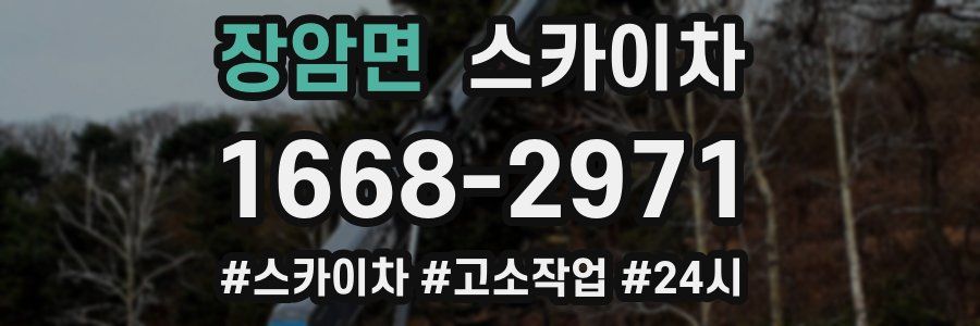 장암면 스카이차