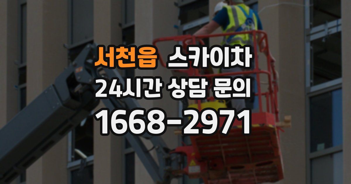 서천읍 스카이차