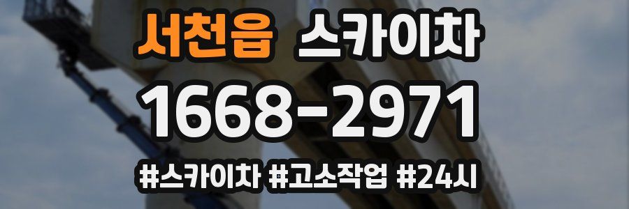 서천읍 스카이차