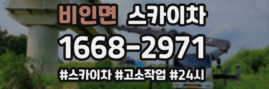 비인면 스카이차