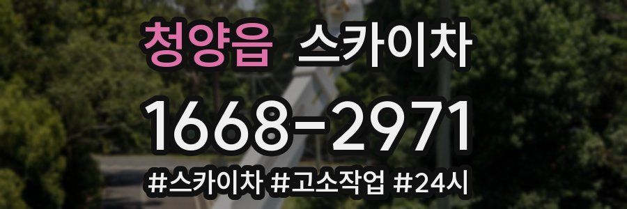 청양읍 스카이차