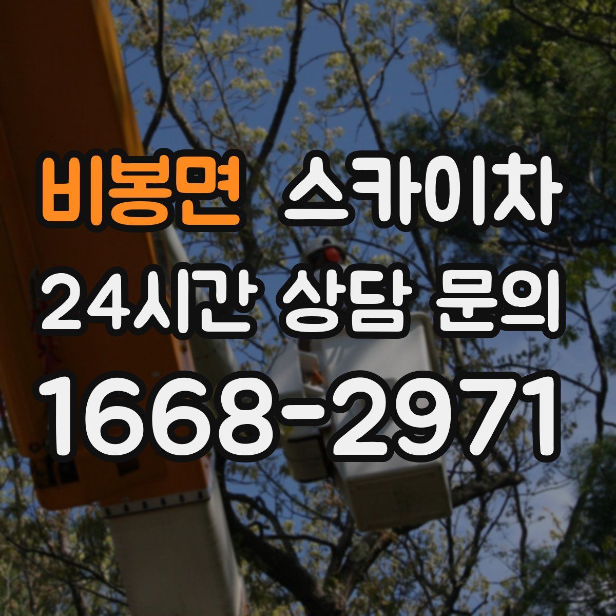 비봉면 스카이차