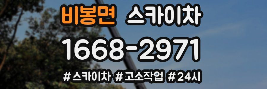 비봉면 스카이차