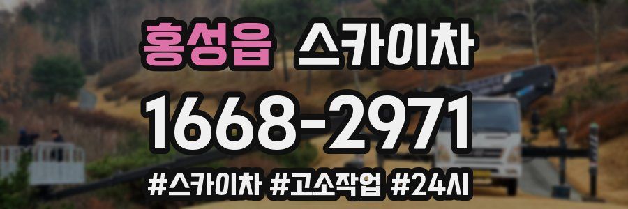 홍성읍 스카이차