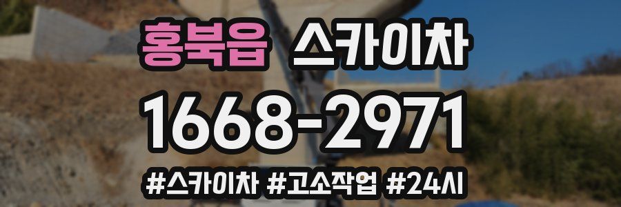 홍북읍 스카이차