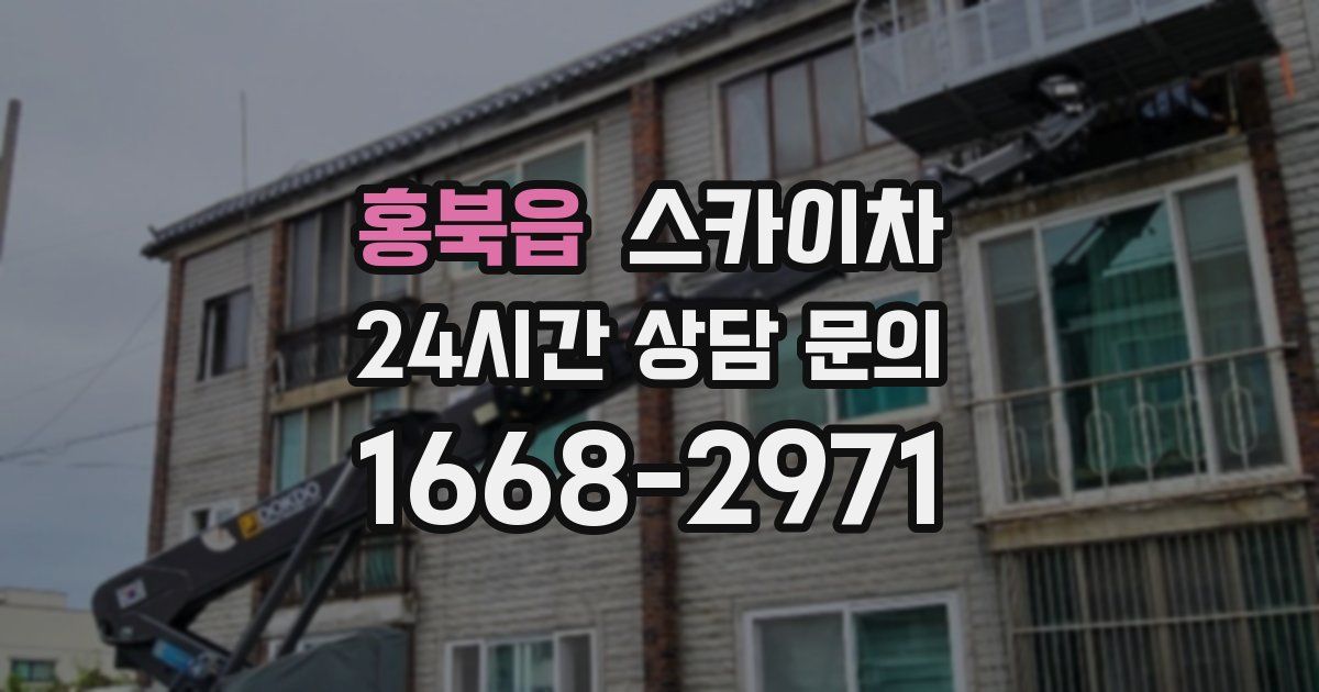 홍북읍 스카이차