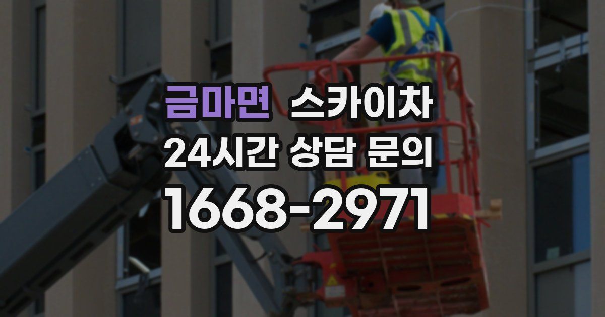 금마면 스카이차