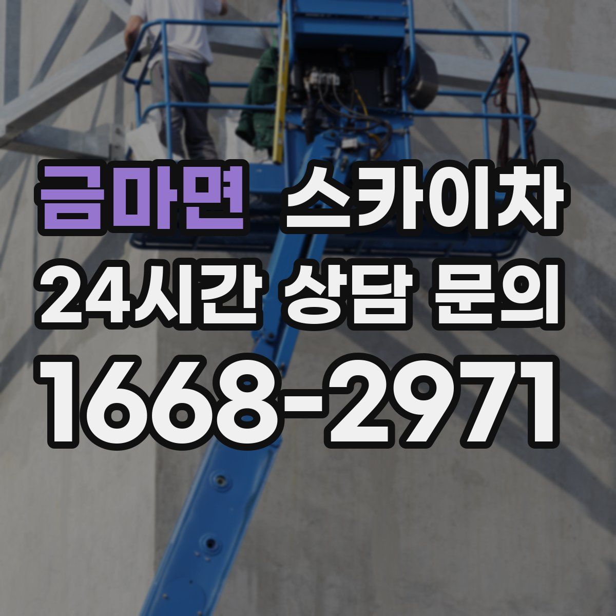 금마면 스카이차