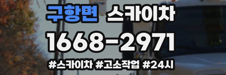 구항면 스카이차