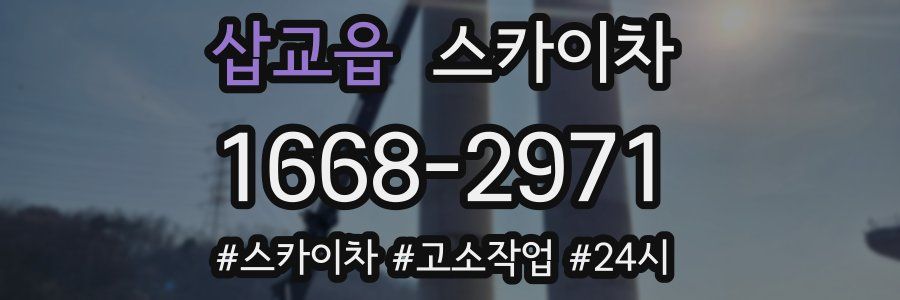 삽교읍 스카이차