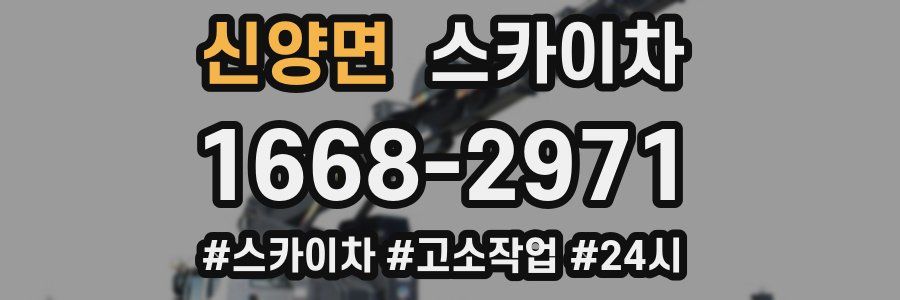 신양면 스카이차