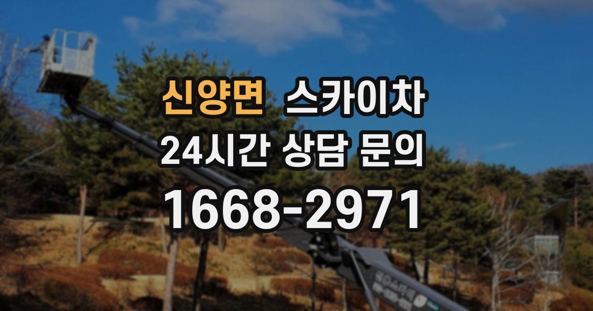 신양면 스카이차