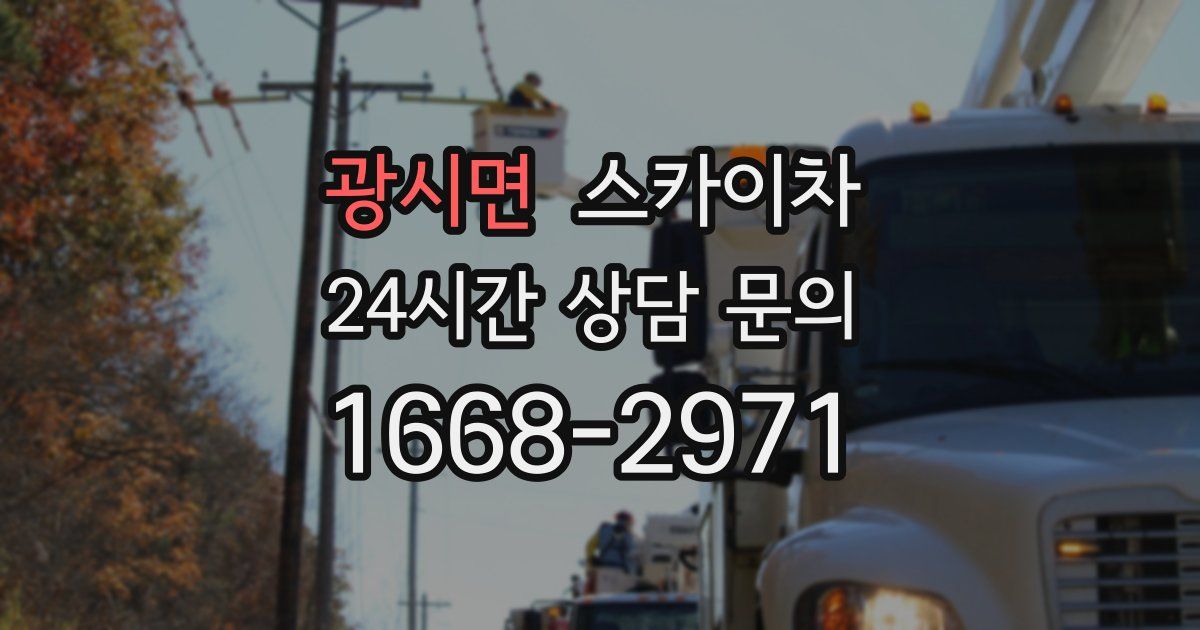 광시면 스카이차