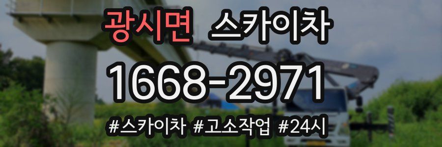 광시면 스카이차