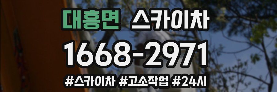 대흥면 스카이차