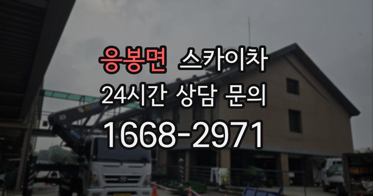 응봉면 스카이차