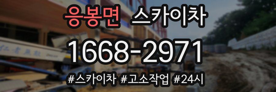 응봉면 스카이차