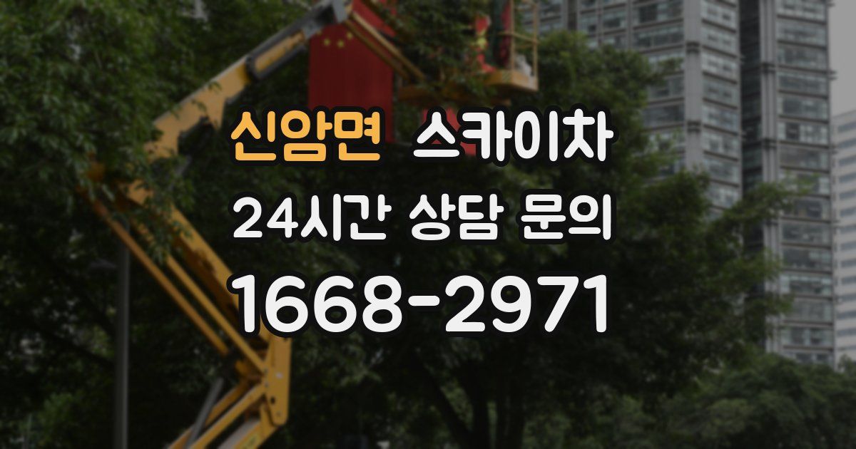 신암면 스카이차