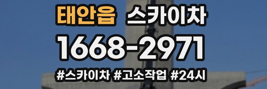 태안읍 스카이차