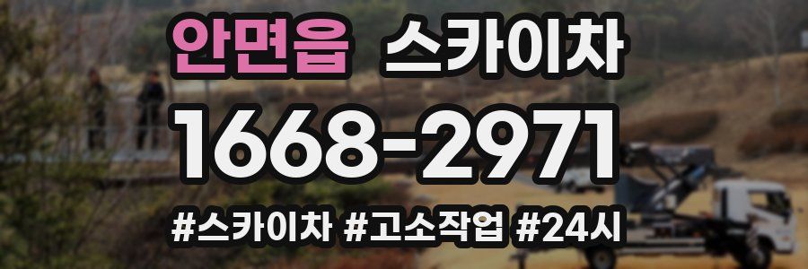안면읍 스카이차