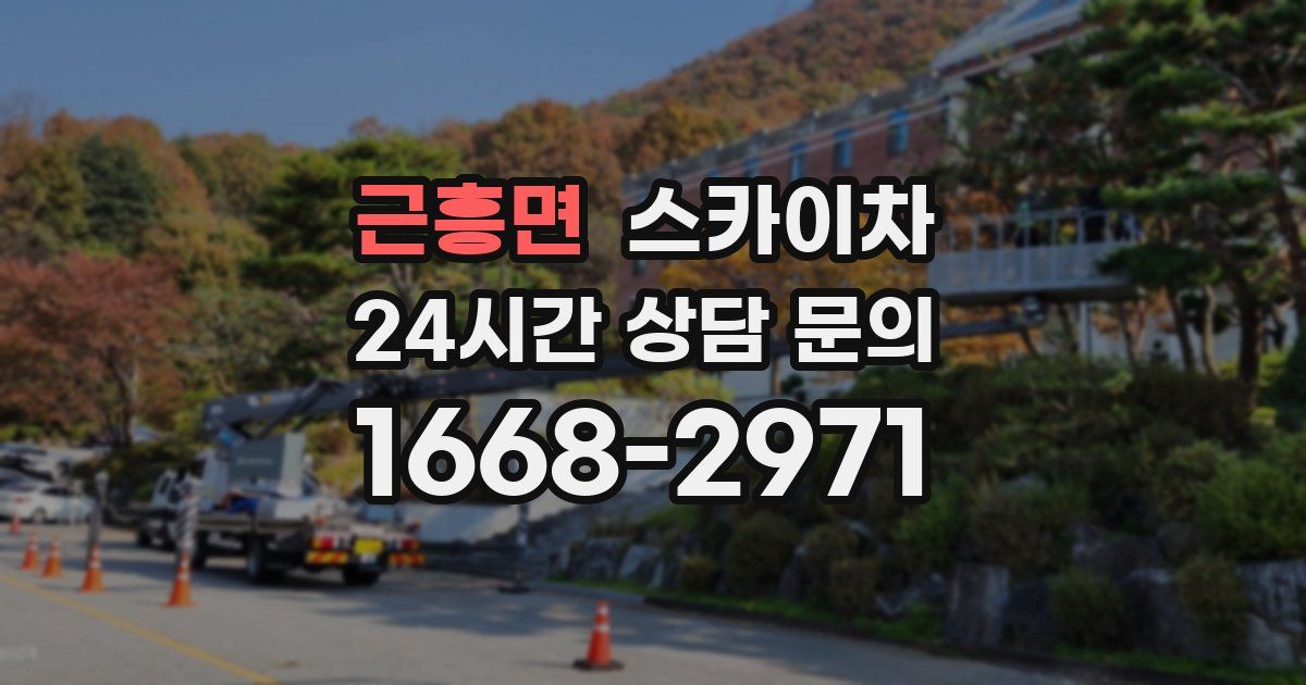 근흥면 스카이차