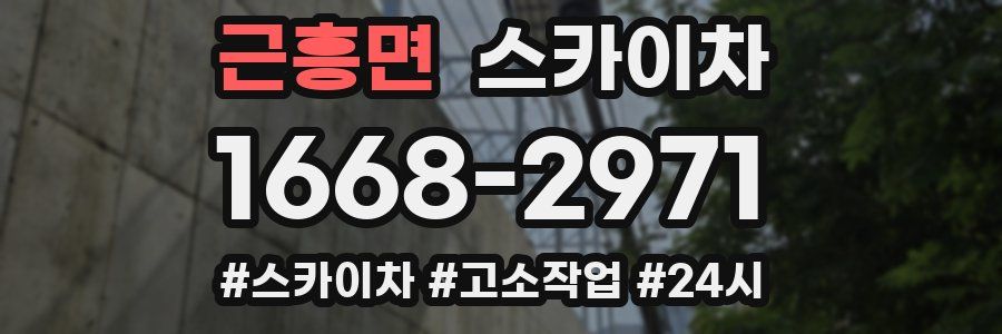 근흥면 스카이차