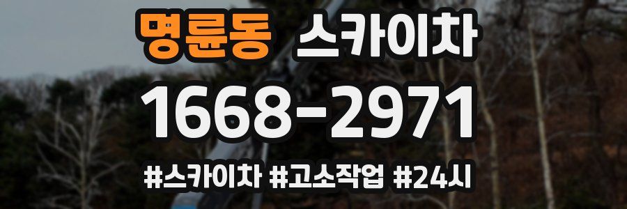 명륜동 스카이차