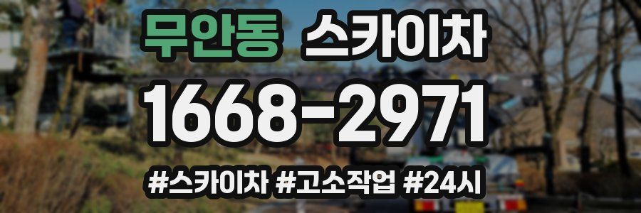 무안동 스카이차