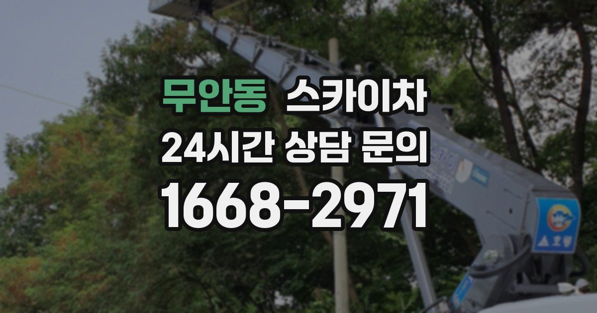 무안동 스카이차