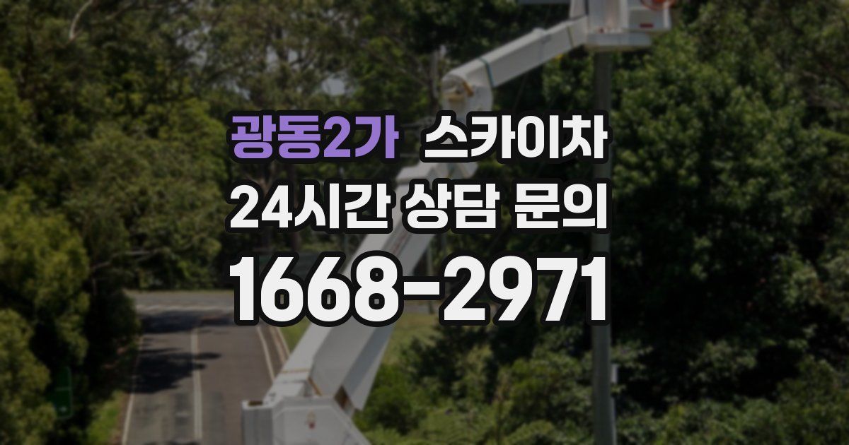 광동2가 스카이차