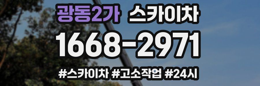 광동2가 스카이차