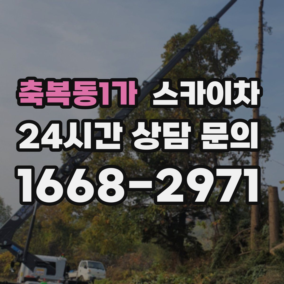 축복동1가 스카이차